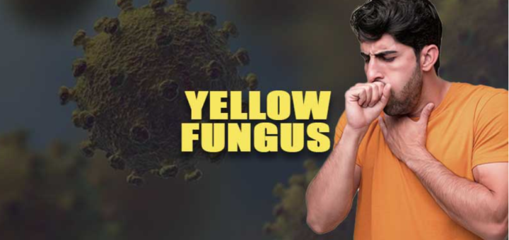 yellow-fungus