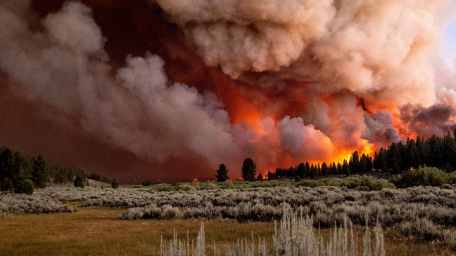 california-forest-burn